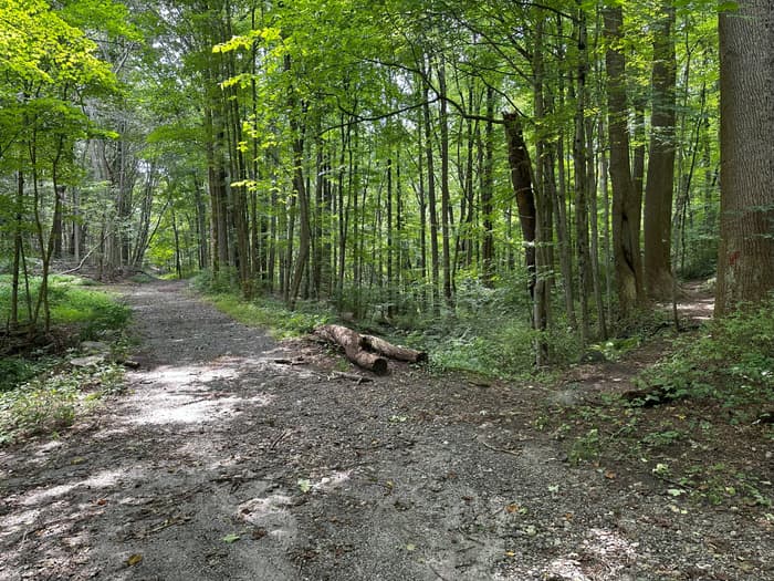 Grace Richardson Open Space Area