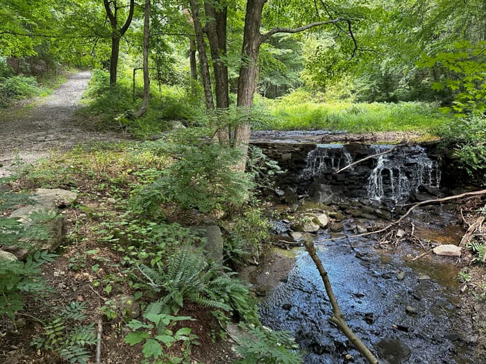 Grace Richardson Open Space Area