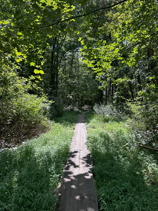 Grace Richardson Open Space Area