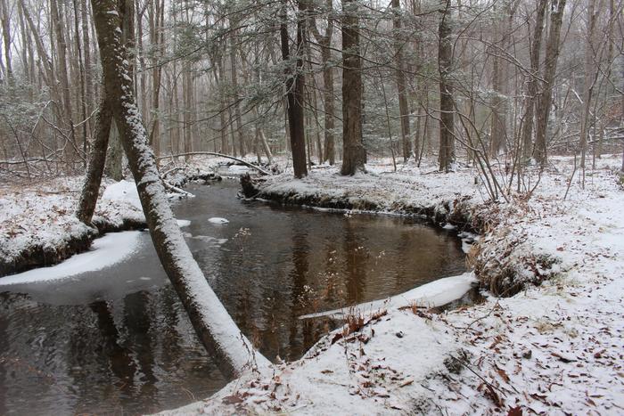 Harry C. Barnes Memorial Nature Center