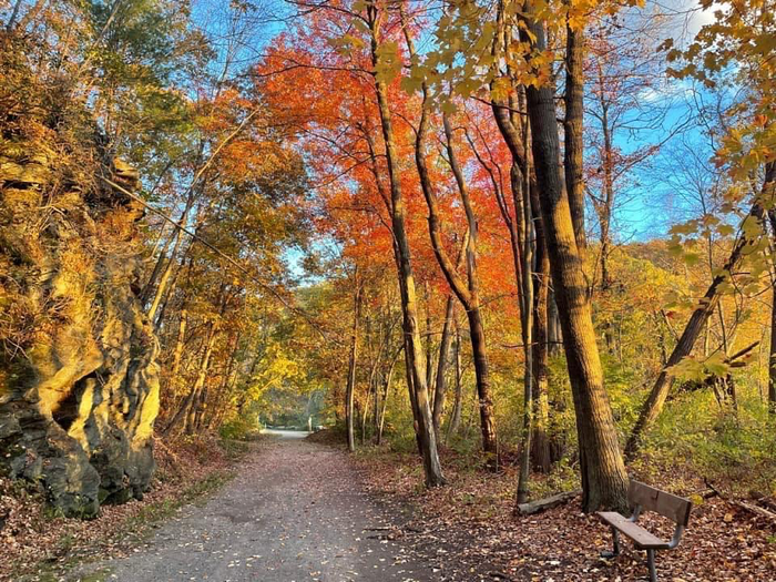 Hop River State Park Trail