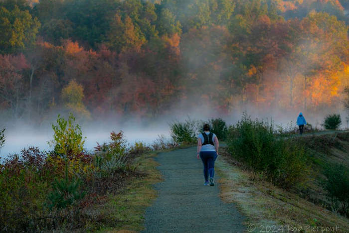 Mill Pond Way