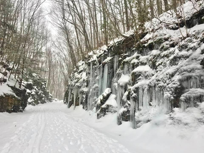 Hop River State Park Trail