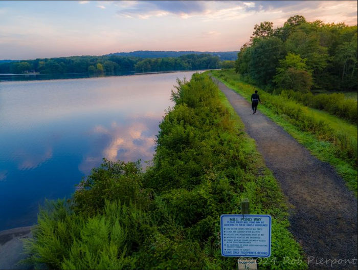 Mill Pond Way