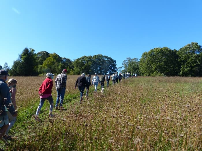 Organized late summer hike.