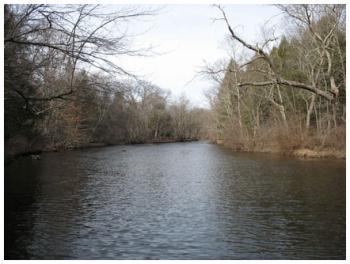 King Riverside Conservation Area