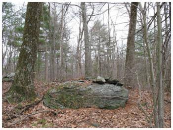 Knofla Conservation Area