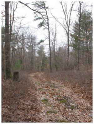 Knofla Conservation Area