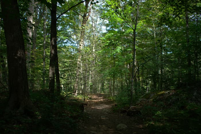Greenwich Audubon Center