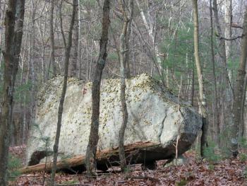 C.W. Luce Conservation Area