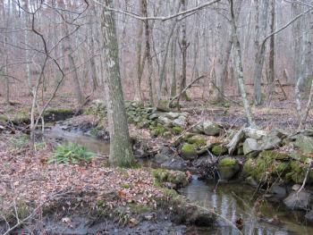 C.W. Luce Conservation Area