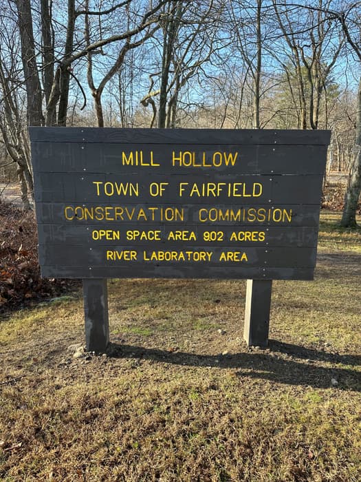 Mill Hollow Open Space