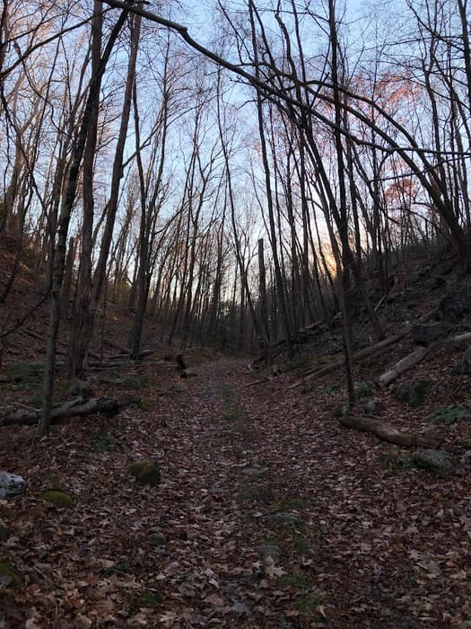 Naugatuck Trail (Credit: CFPA)