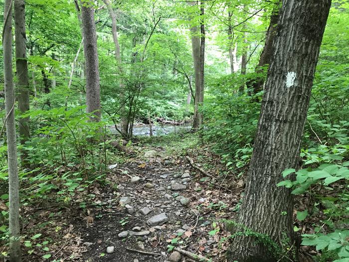 Norwalk Parks and Fields (Credit: Zen Herter)