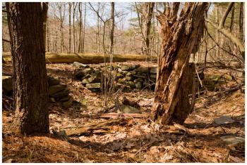 Palmer Kendall Mountain Conservation Area