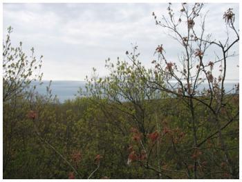 Palmer Kendall Mountain Conservation Area