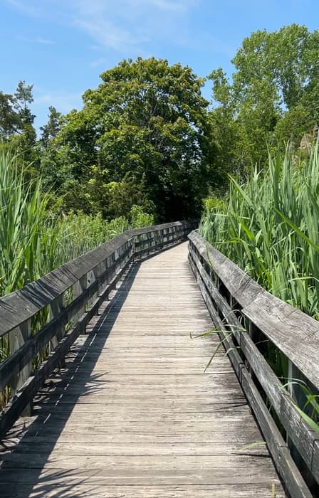 Boardwalk