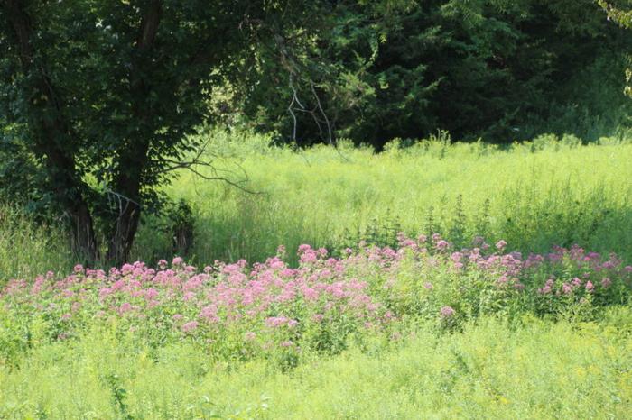 Preston Nature Preserve