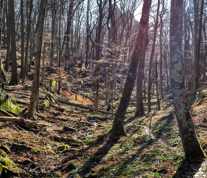 Hadlyme Hills