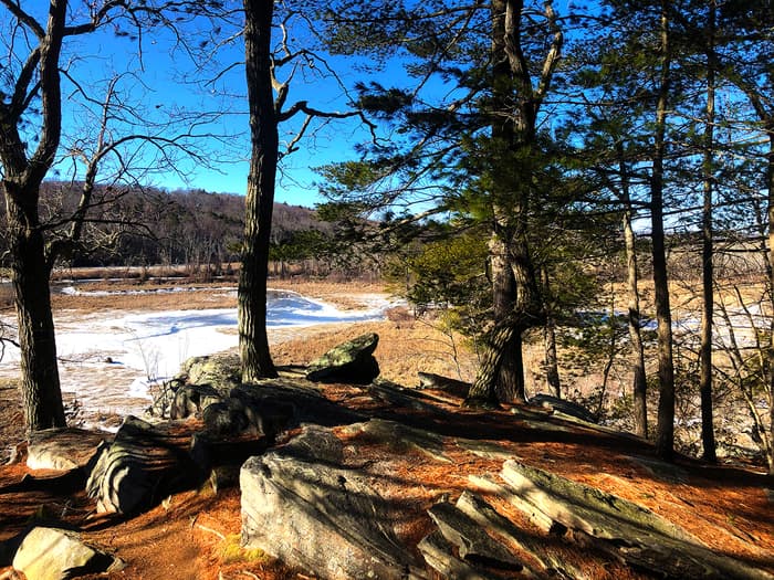 Hadlyme Hills