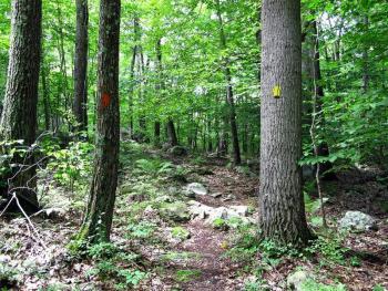 Schindler/Schmidt Conservation Area