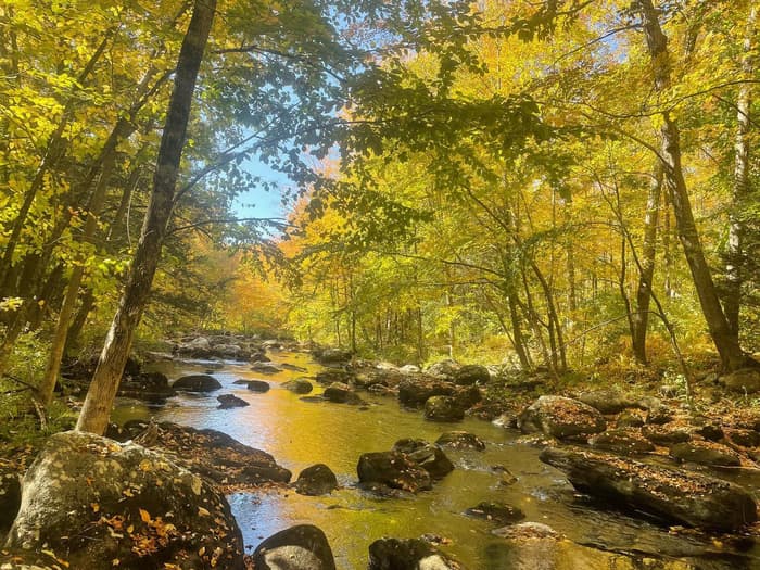 Fall colors at Shepaug Crossing (Credit: Harmony Tanguay)