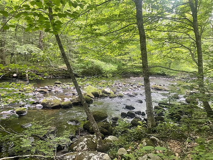Shepaug River (Credit: Harmony Tanguay)
