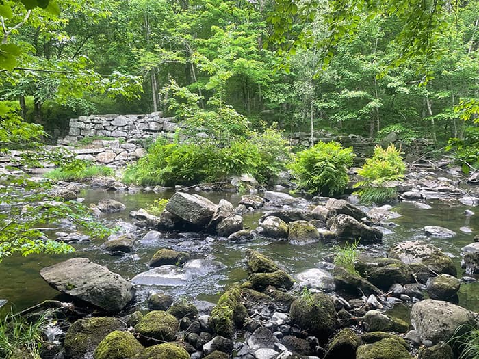 Shepaug ruins (Credit: Harmony Tanguay)