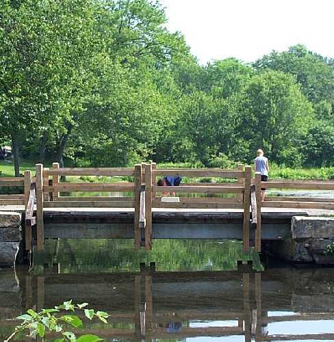 Fishing at Southford State Park (Credit: CT State Parks)