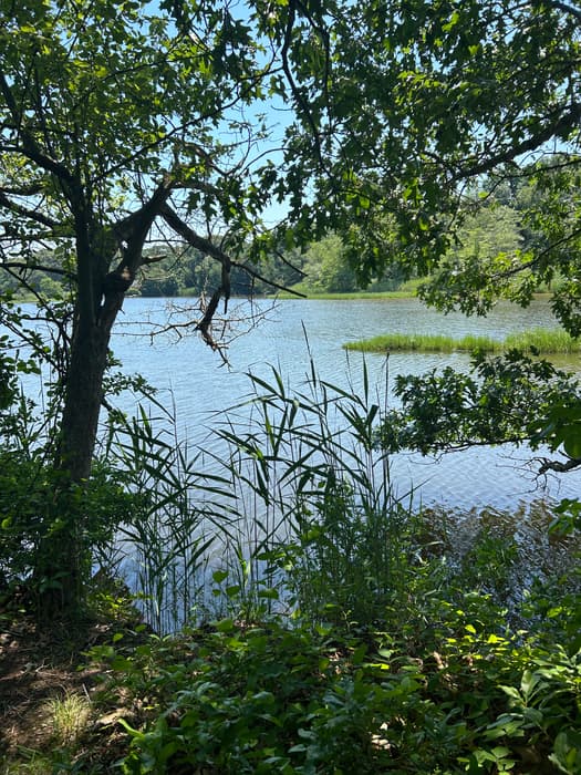 Sparkle Lake Conservation Area