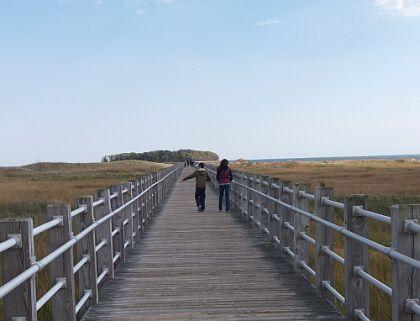 (Credit: CT State Parks)