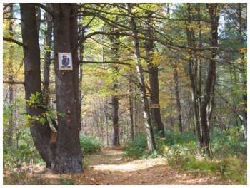 Stoppleworth Conservation Area