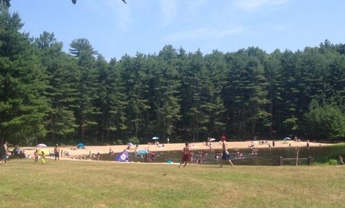 Swimming area at Stratton Brook State Park (Credit: CTDEEP)