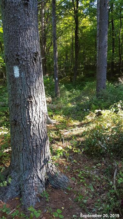 Sugarloaf trails in September (Credit: RWA)