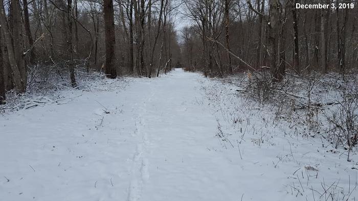 Sugarloaf trails in snow (Credit: RWA)