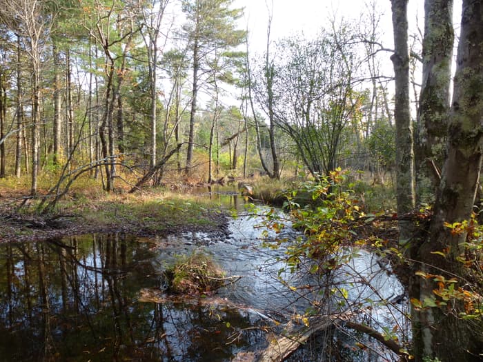 Robbins/O'Leary/Blain Preserve