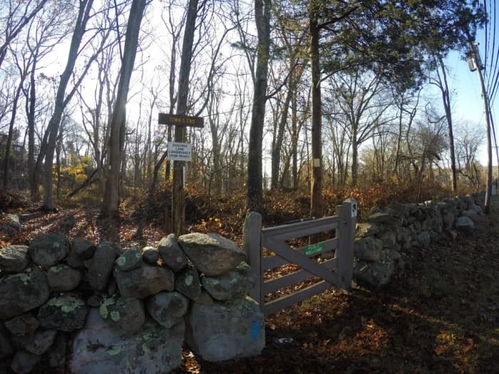 Town's End Preserve (Credit: Dale Wilson)