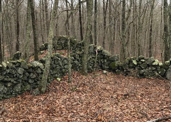 Stone walls on the Yellow Trail (Credit: Avalonia Land Conservancy)