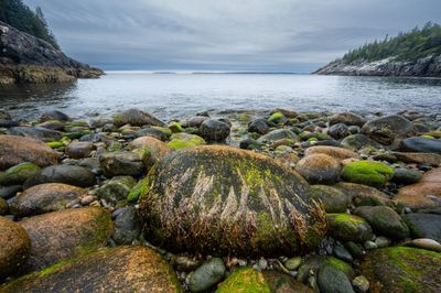 Tom Blagden: Low Tide, Hunter's Beach, ANP