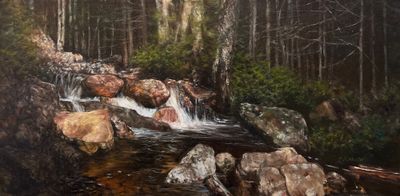 Mary Jo Carew: A Spring Walk along the Hadlock Pond Trail
