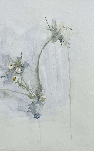 Samuel Wyatt: Field Study, Asters and Queen Anne's Lace