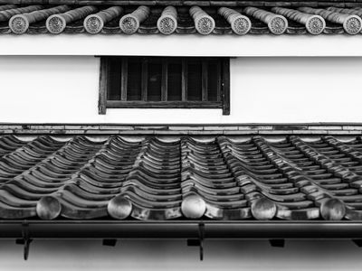 Dave Clough, Visiting Photographer: Roofline Layers