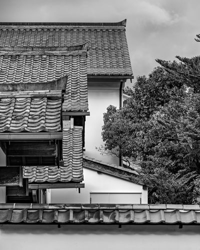 David Clough, Visiting Photographer: Roofline layers