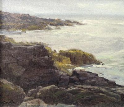 Carol Raybin: Foggy Coastline