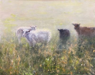 Lou Stanley: Gotts Island Sheep, Early Morning