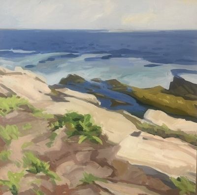 Anne Ireland: Rocky Coast