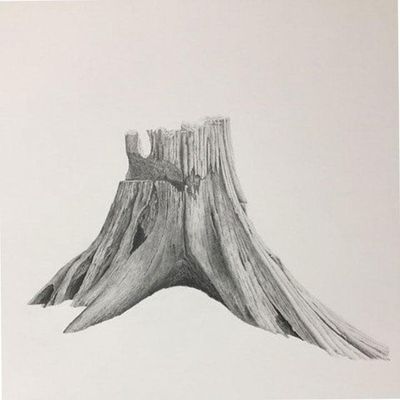 Lucy Kalian: Stumps and Axes I