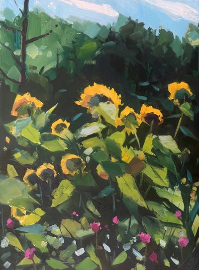 Amy Brnger: Sunflower Patch