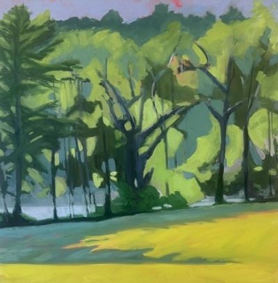 Anne Ireland: Tree Shadow