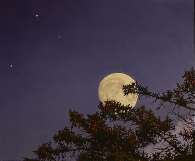 David Vickery: Violet Moonrise